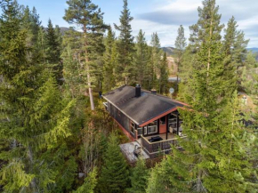 Koselig sommer og vinterhytte Trysil